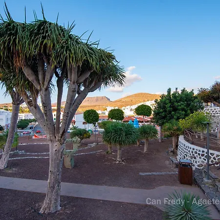 Fredy - Private Agaete Agaete (Gran Canaria)