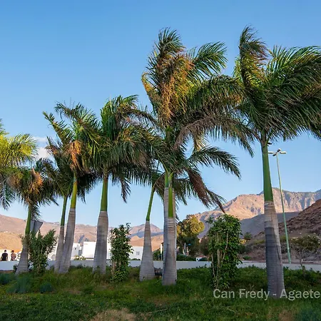 Fredy - Private Agaete Apartment Agaete (Gran Canaria)
